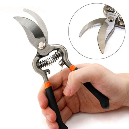 Royal Pruning Shears, Tree cutter Black Handle